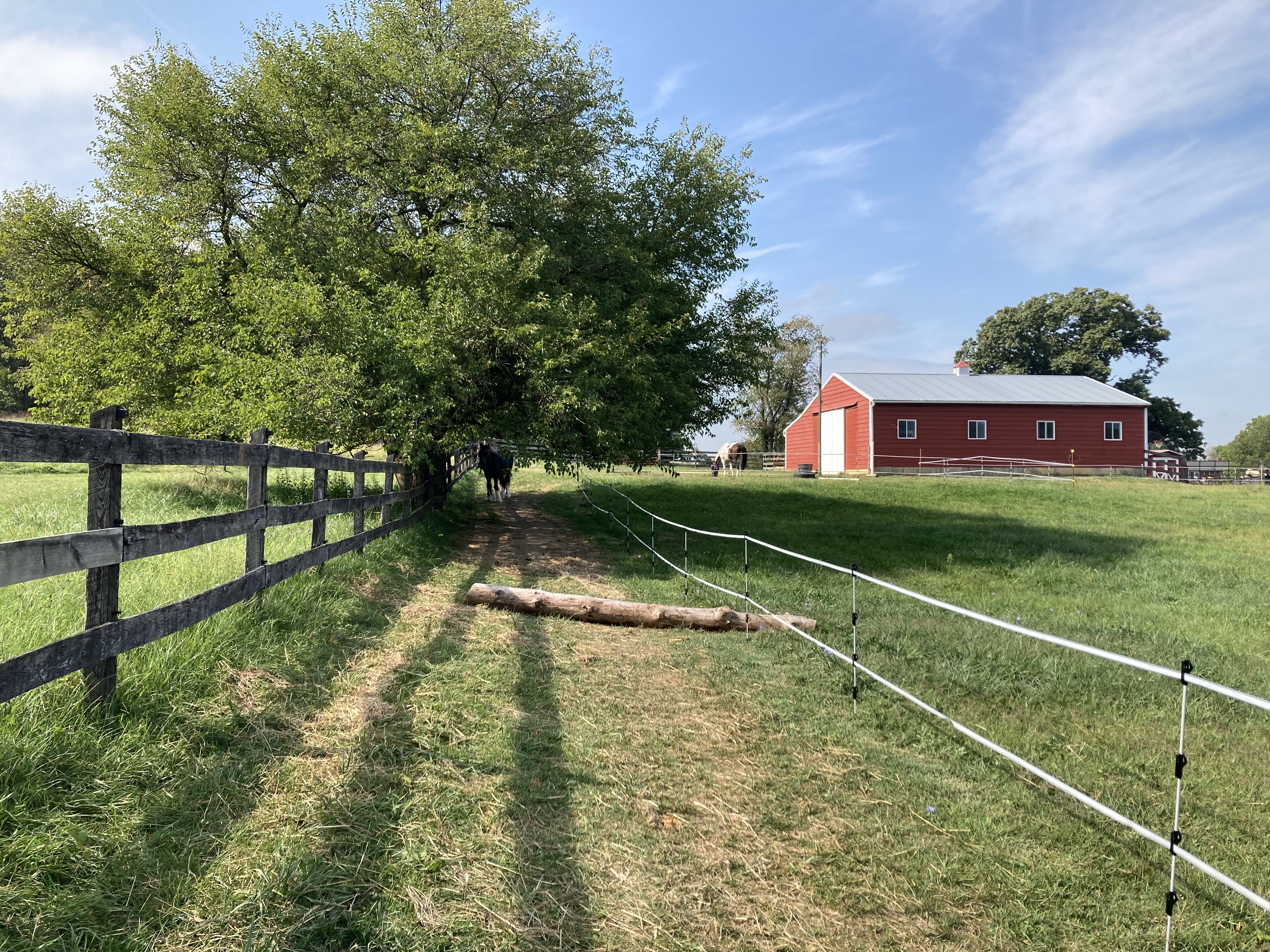 full circle track horse boarding in virginia with stalls and dirt track