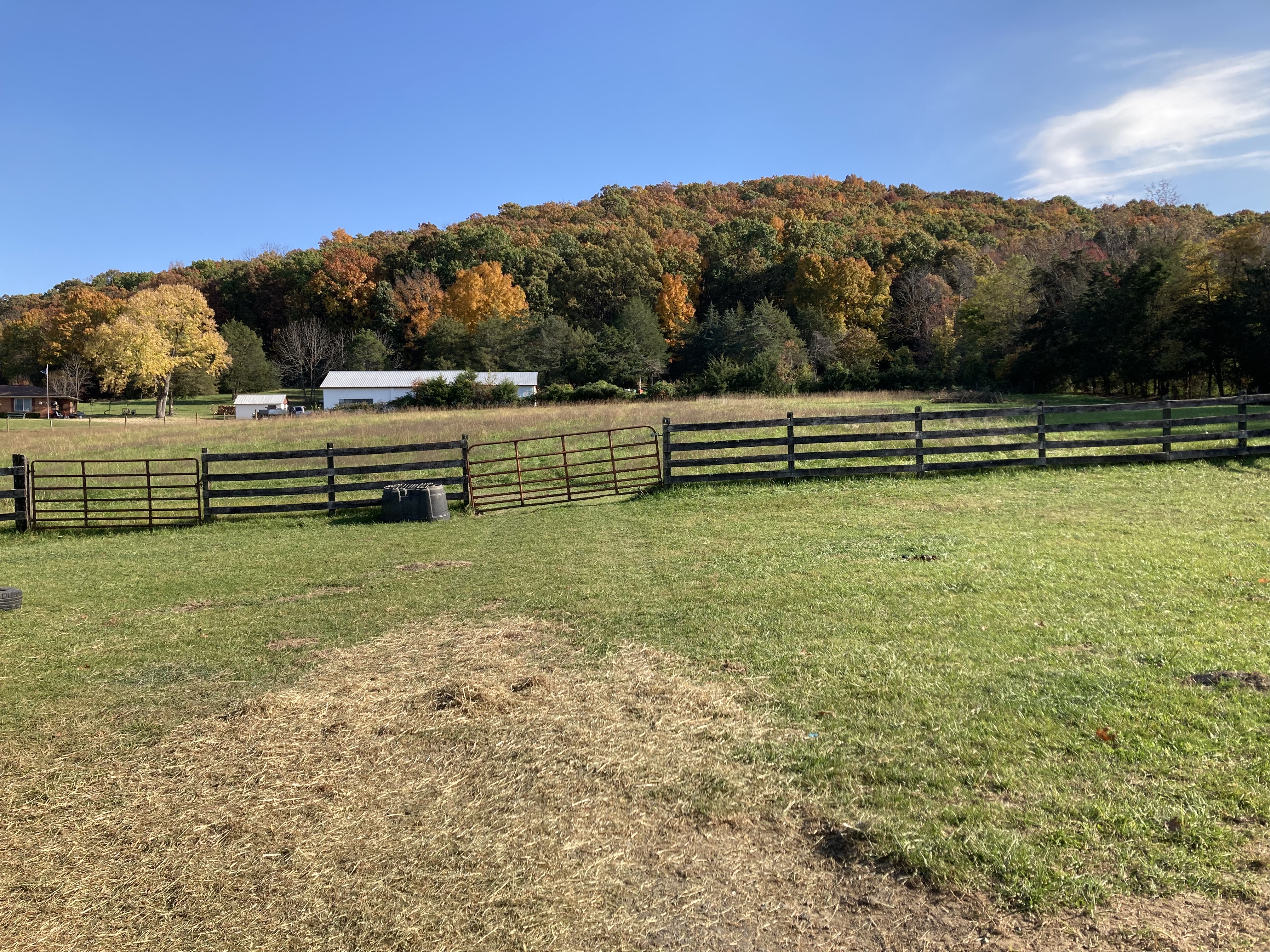 virginia horse boarding with view of round hill in fall