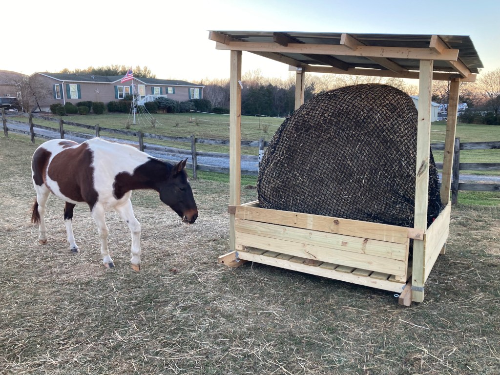 full board for horses in Virginia