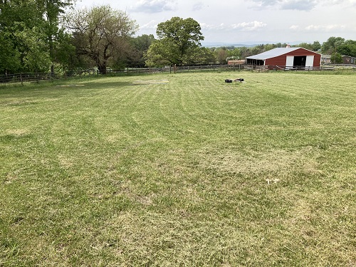 Full Circle Track horse boarding near Staunton, Harrisonburg, Charlottesville Virginia