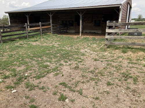 field shelter for horses