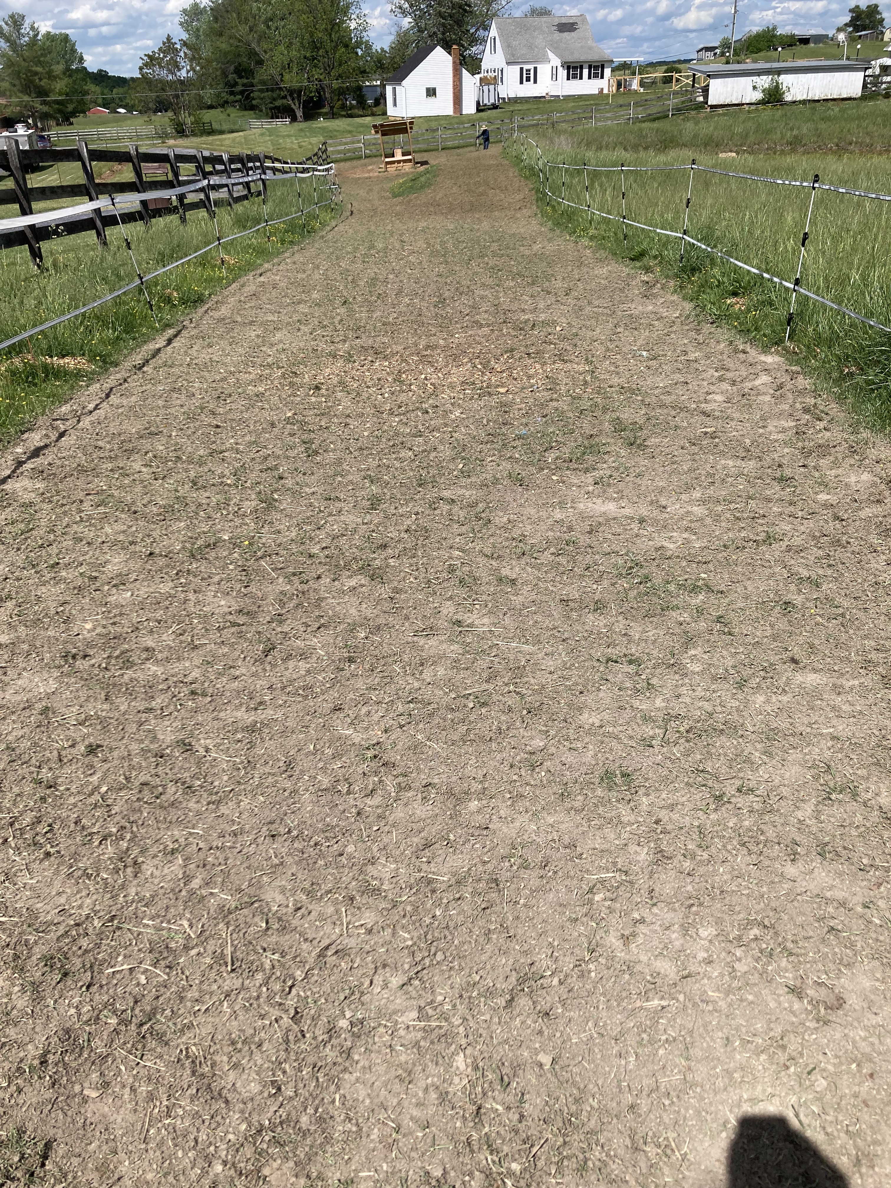 horse dirt track lot boarding