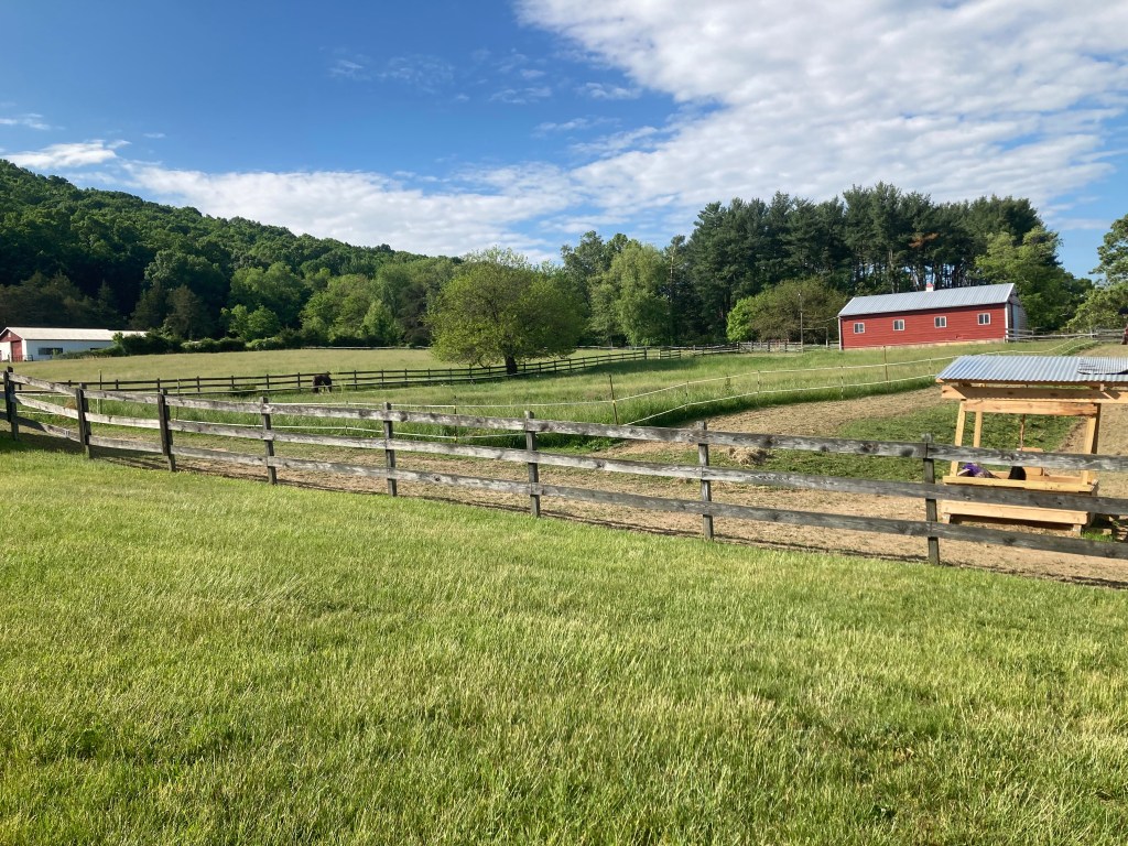 horse boarding in virginia